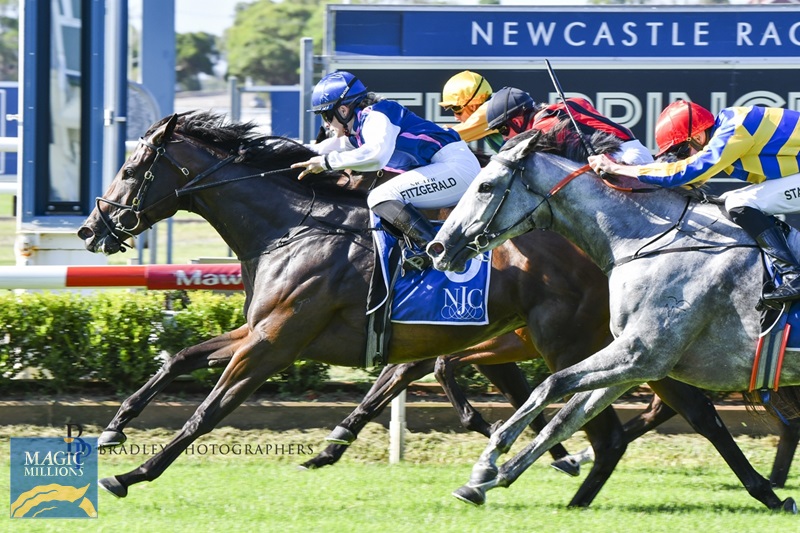 1Anarita .jpg - Image 1