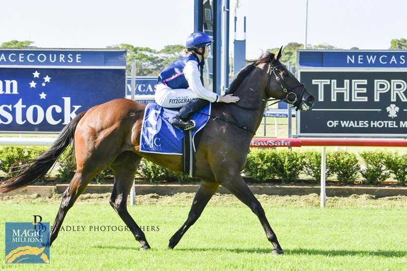 2Anarita.jpg - Image 2