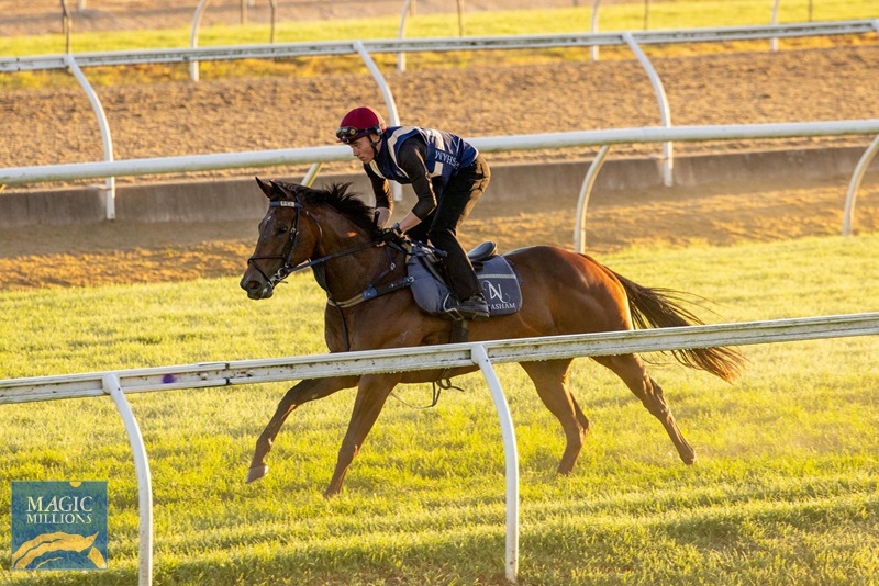 3Anarita.jpg - Image 3