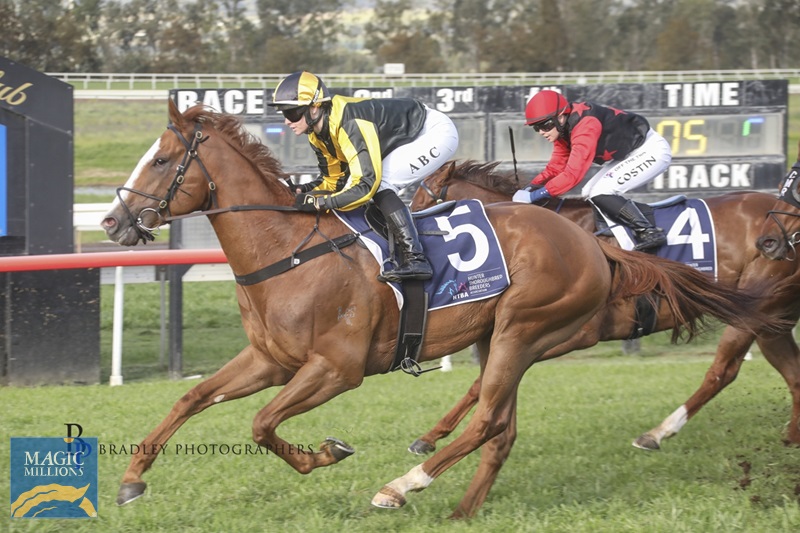 1trapeze.jpg - Image 1