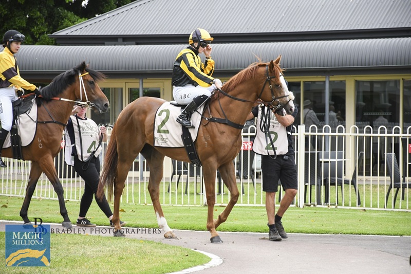 2Trapeze.jpg - Image 2