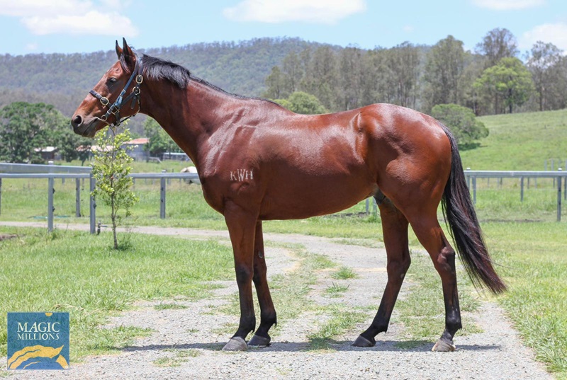 WhatsApp Image 2025-12-09 at 3.19.57 PM.jpg - Image 1