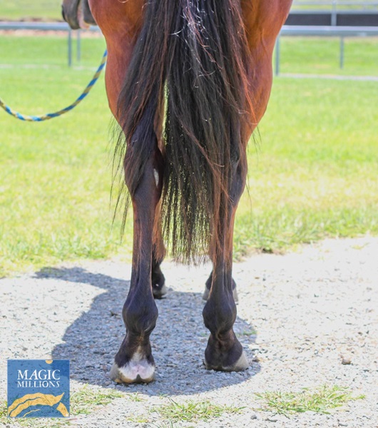 WhatsApp Image 2025-12-09 at 3.19.58 PM.jpg - Image 4