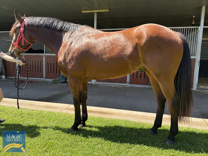 IMG_1233.jpg - Image 2