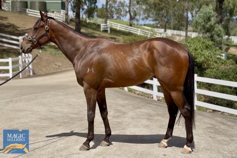 Nightsphere.jpg - Image 1