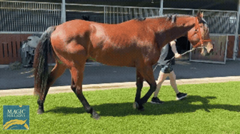 Adobe Express - IMG_1234.jpg - Image 3