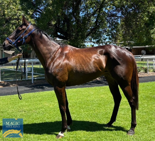 1000025305.jpg - Image 1