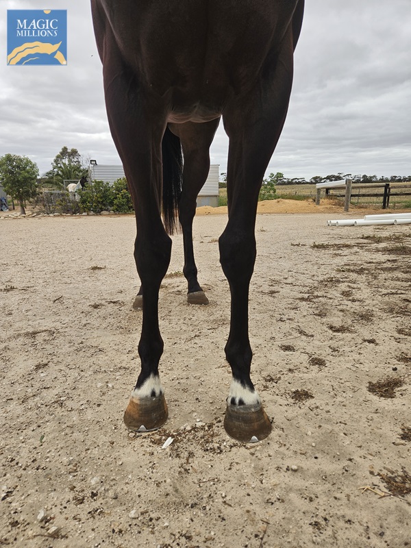 1000025147.jpg - Image 2