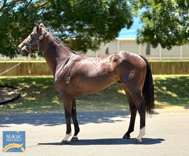 WhatsApp Image 2025-12-30 at 13.17.07.jpg - Image 1