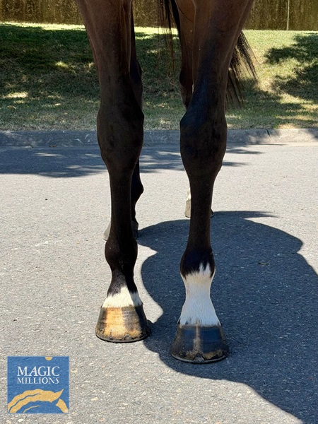 WhatsApp Image 2025-12-30 at 13.17.07 (2).jpg - Image 2