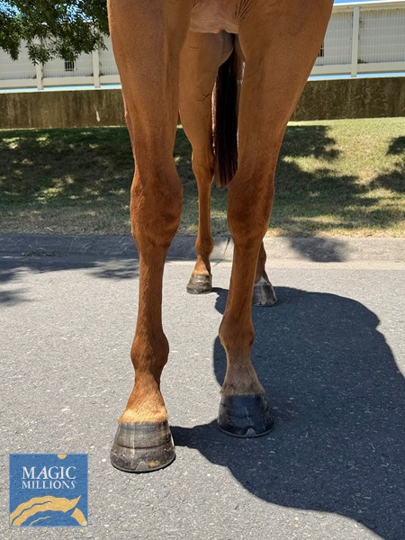 WhatsApp Image 2025-12-30 at 13.17.48.jpg - Image 2