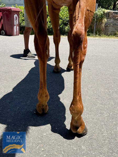 WhatsApp Image 2025-12-30 at 13.17.48 (1).jpg - Image 3