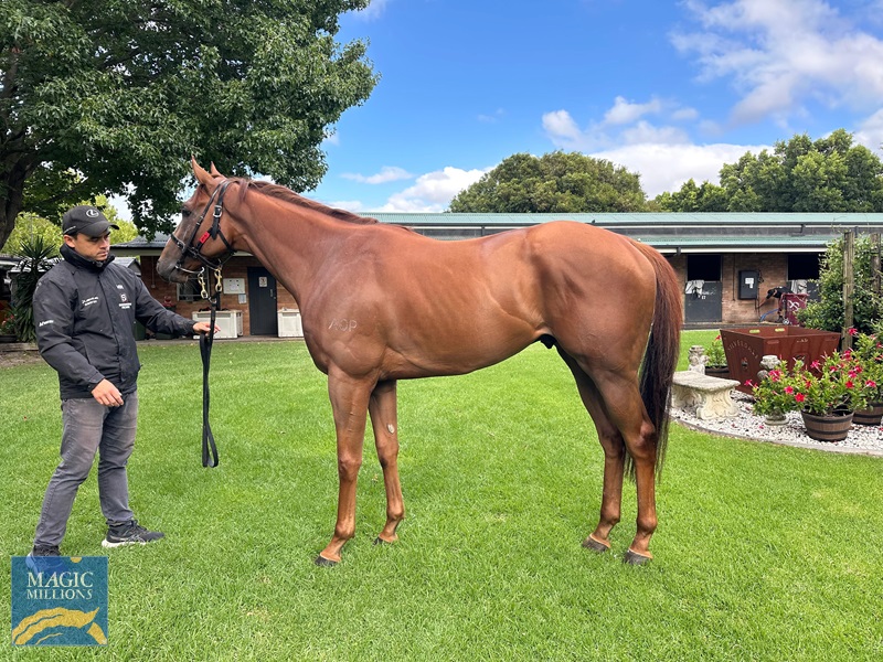 WhatsApp Image 2025-12-28 at 09.54.48.jpg - Image 1