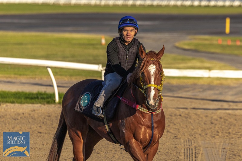 WhatsApp Image 2025-12-30 at 14.00.13.jpg - Image 4