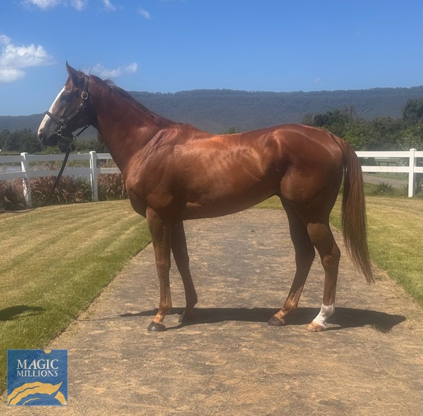 WhatsApp Image 2025-12-30 at 14.59.49 (1).jpg - Image 3