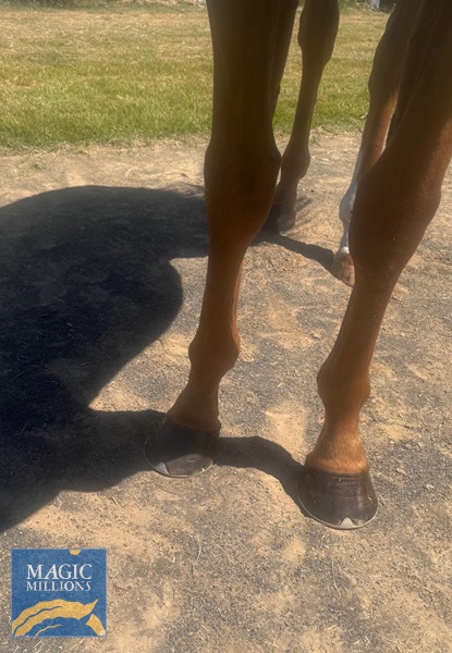 WhatsApp Image 2025-12-30 at 14.59.49.jpg - Image 4