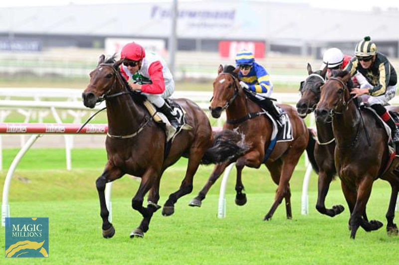 D97A600E-6DFB-4022-8E72-21DA8F731D0B.jpg - Image 1