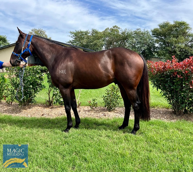 6743bf0ad26d4cd49bf255a5cbaf03e8.jpg - Image 3