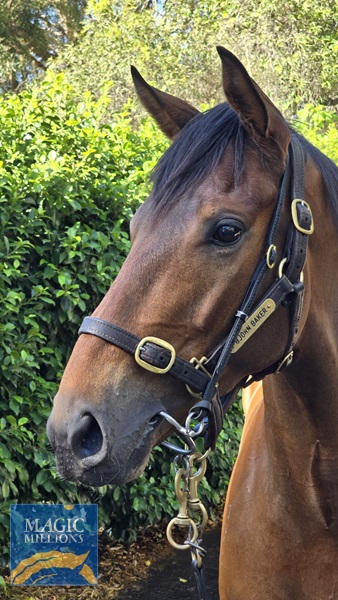 Inzain Baby P&V 4.jpg - Image 2