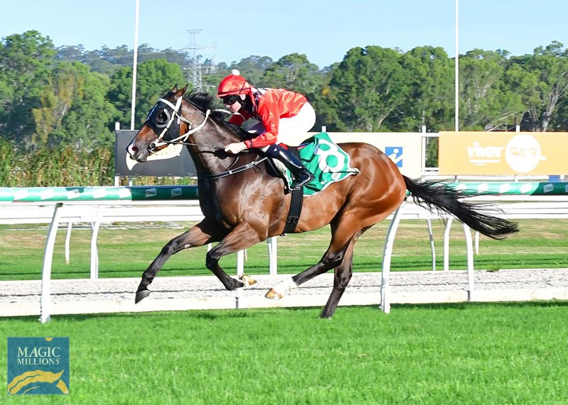 Smart Rec 1.jpg - Image 1