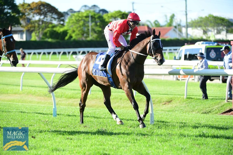 Smart Rec 2.jpg - Image 2