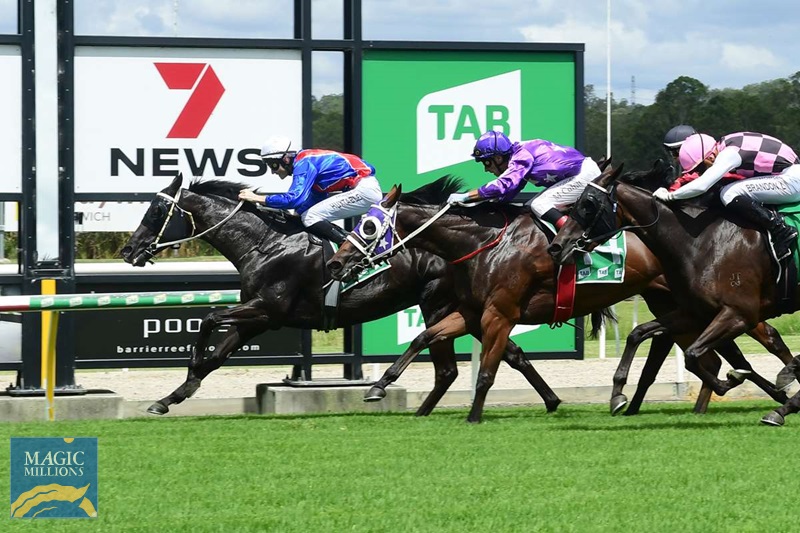 Nitrogen 1.jpg - Image 1