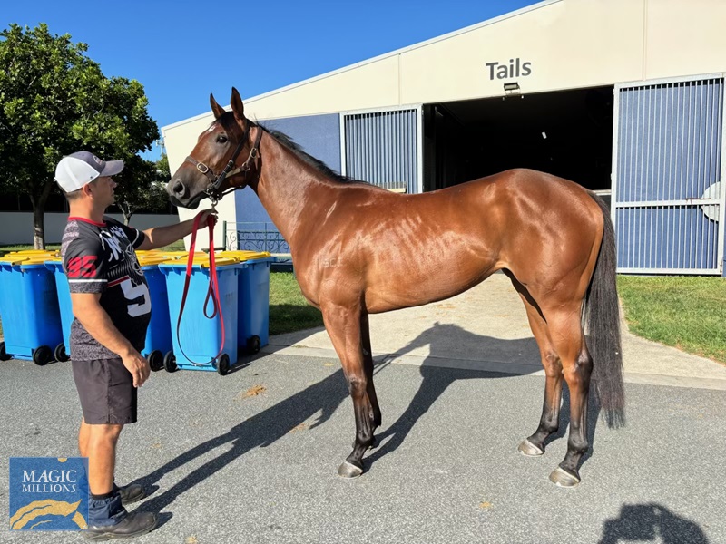 IMG_3369.jpg - Image 1