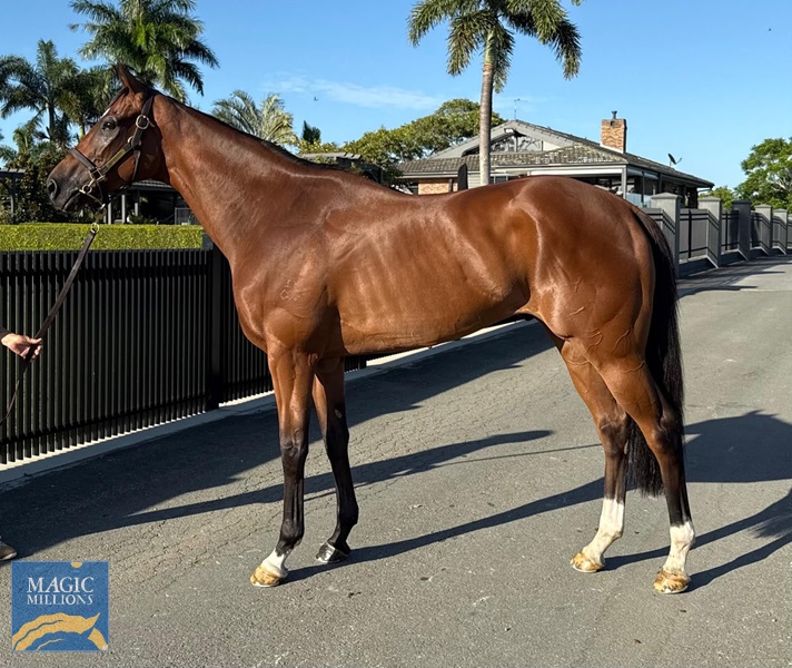 image2.jpg - Image 1