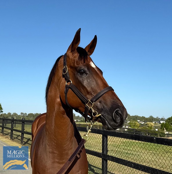 image3.jpg - Image 2