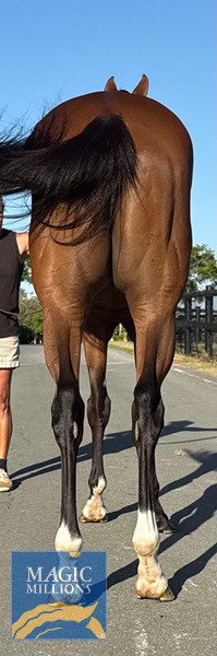 image0.jpg - Image 3