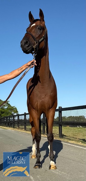 image1.jpg - Image 4