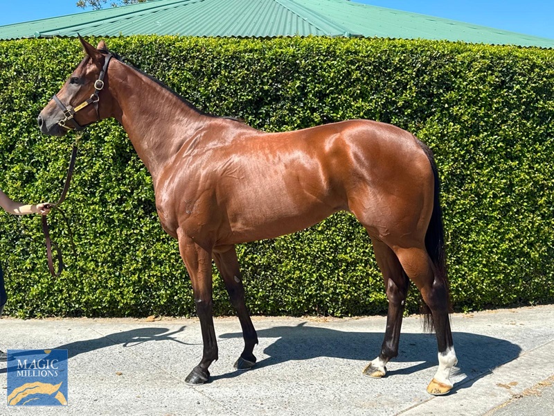 image3.jpg - Image 1