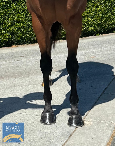 image1.jpg - Image 3