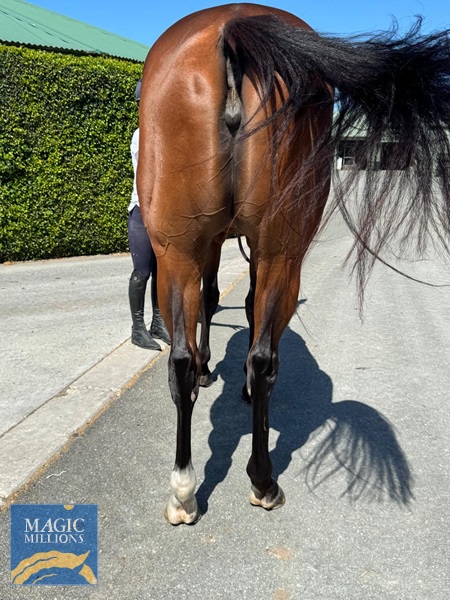 image0.jpg - Image 4