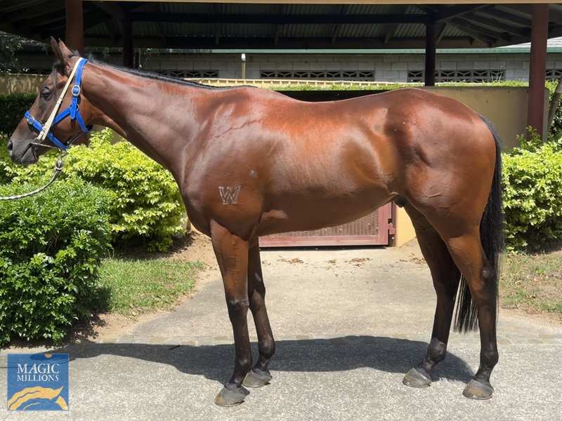 IMG_5316.jpg - Image 1