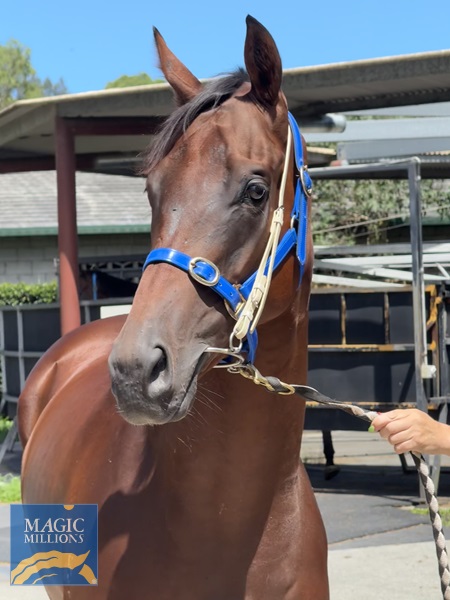 IMG_5326.jpg - Image 2