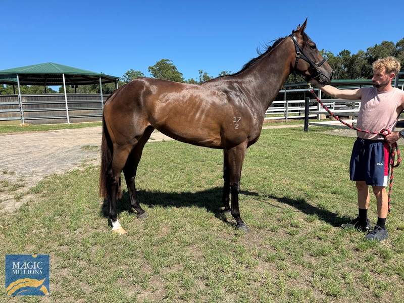 umaiza1.jpg - Image 1