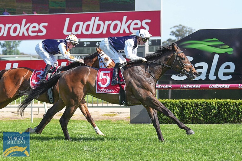 20231029_sale_42324_01370.jpg - Image 2