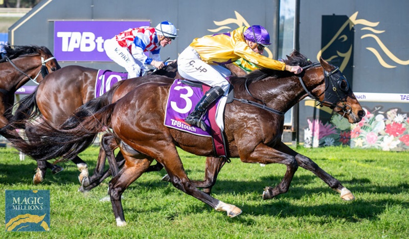 250628 Sisu Warrior.jpg - Image 1