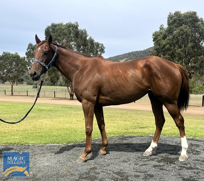 IMG_E9293[1].jpg - Image 1