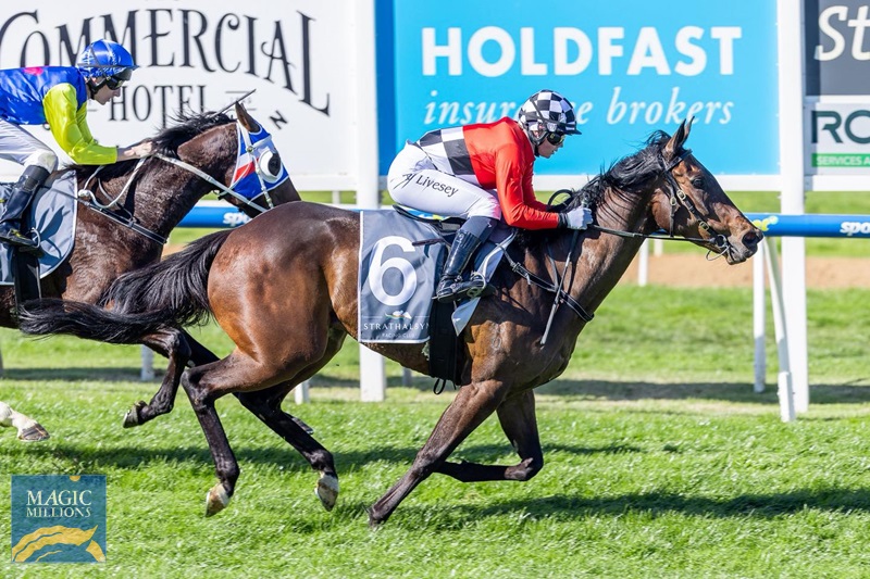 535061909_1397433229051363_7427242595728196419_n.jpg - Image 1