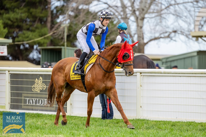 20240821-151.jpg - Image 1