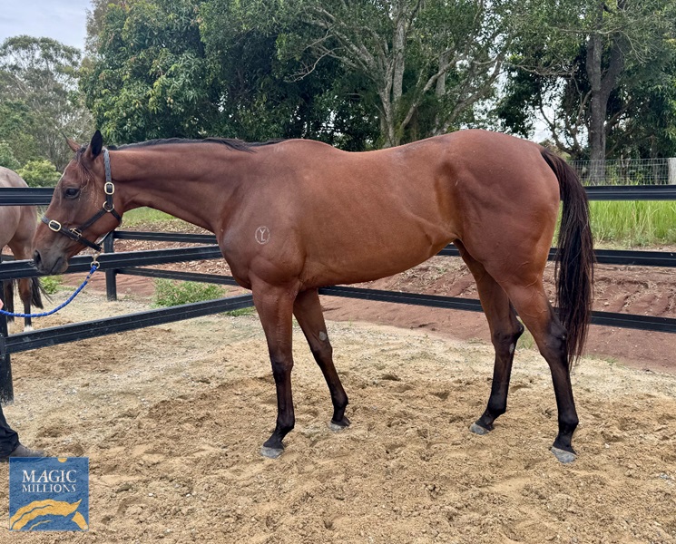 COSMIC BEAUTY SALE PIC.jpg - Image 1