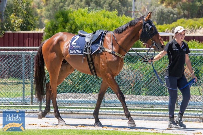 61c75c24a41b9431851b94b7e62ce7b9.jpg - Image 1