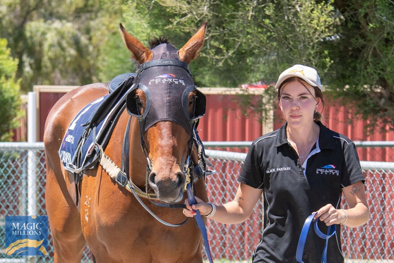 7ee02d07de68bcd72fc448e5517ee366.jpg - Image 2