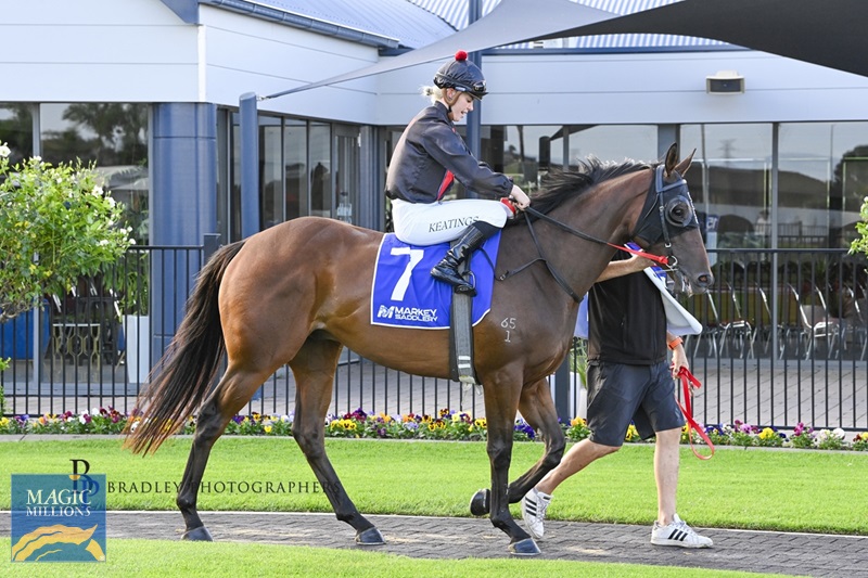 2094755.jpg - Image 3