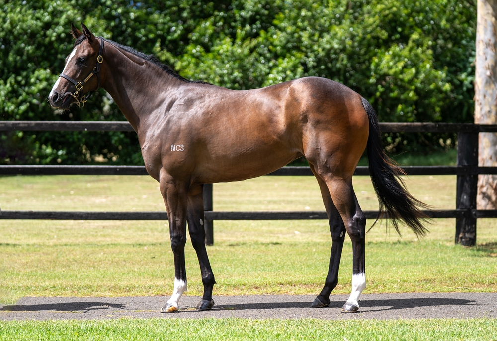 Power (GB) / Methyar (GB) 2024 Filly - Image 1