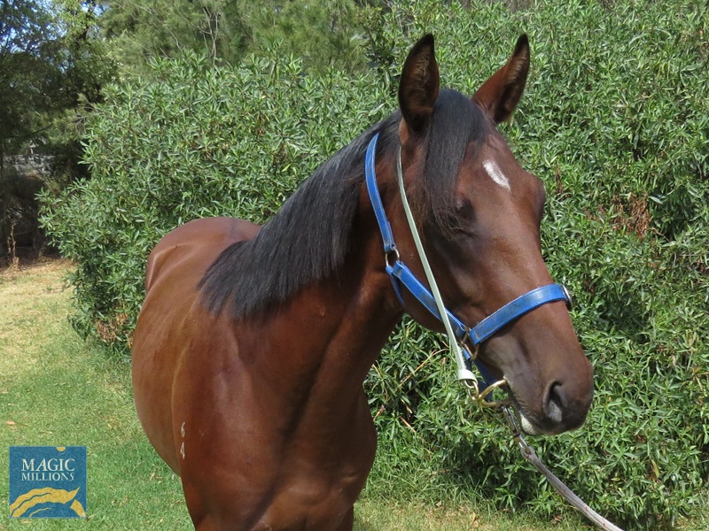 LH Head b.jpg - Image 2