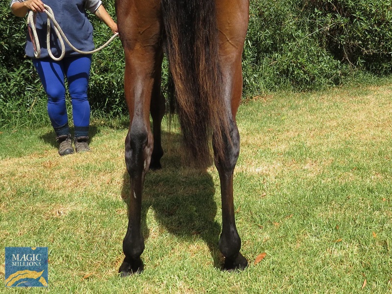 LH Back.jpg - Image 4