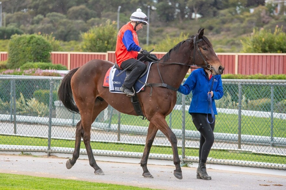Awarded Glory (AUS) - Image 1